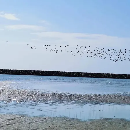 8 Person In Ebeltoft-by Traum Holiday home Ebeltoft